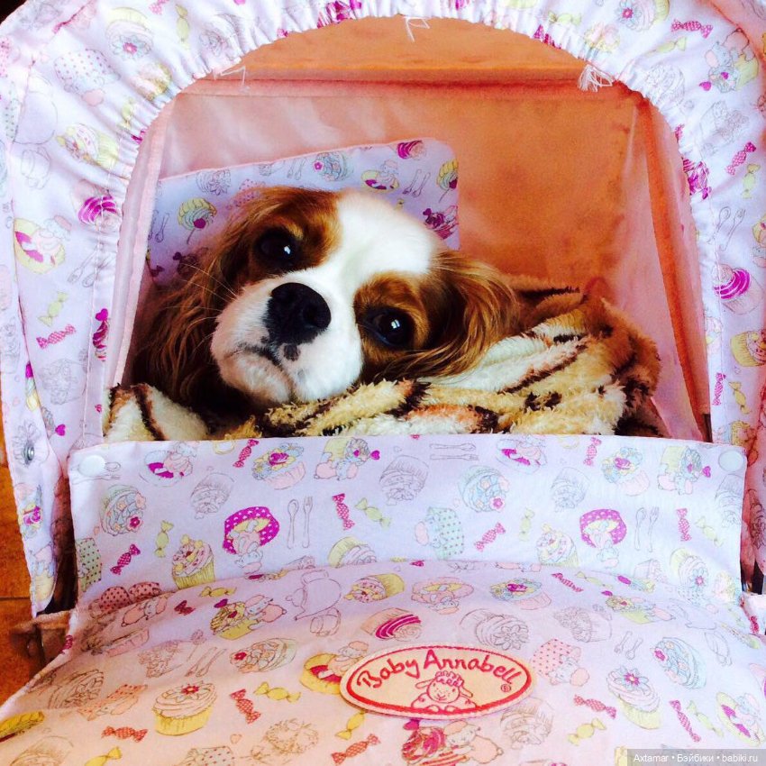 Кукольные аксессуары не только для кукол