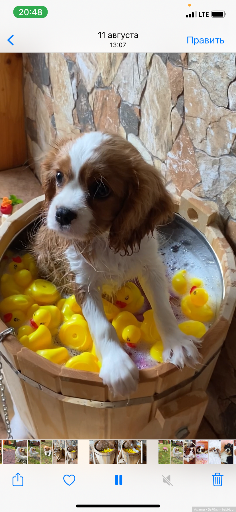 Кукольные аксессуары не только для кукол (фото 3)