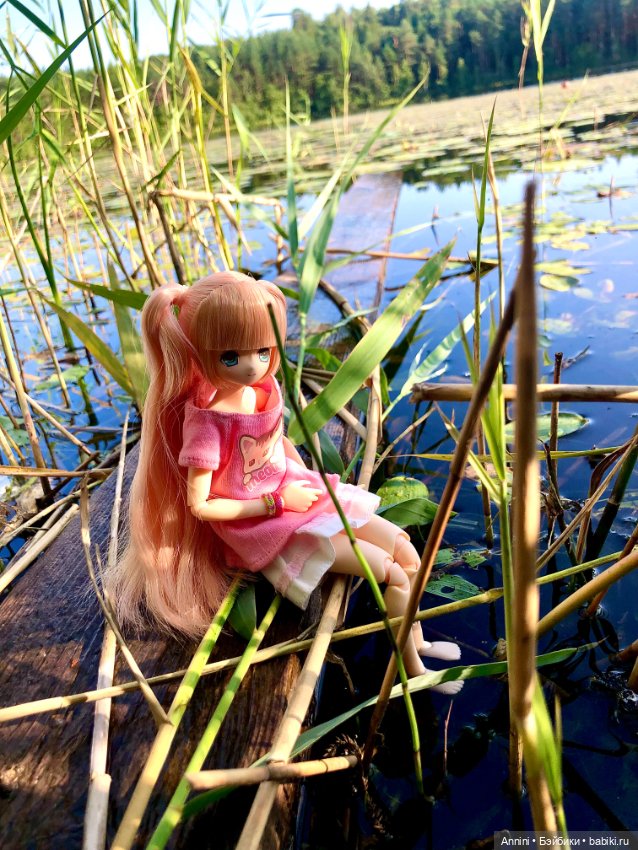 Из объятий лета навстречу осени