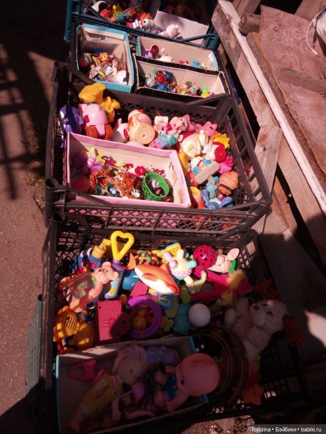 Блошка по будним дням. Обижулька дубль два (фото 5)