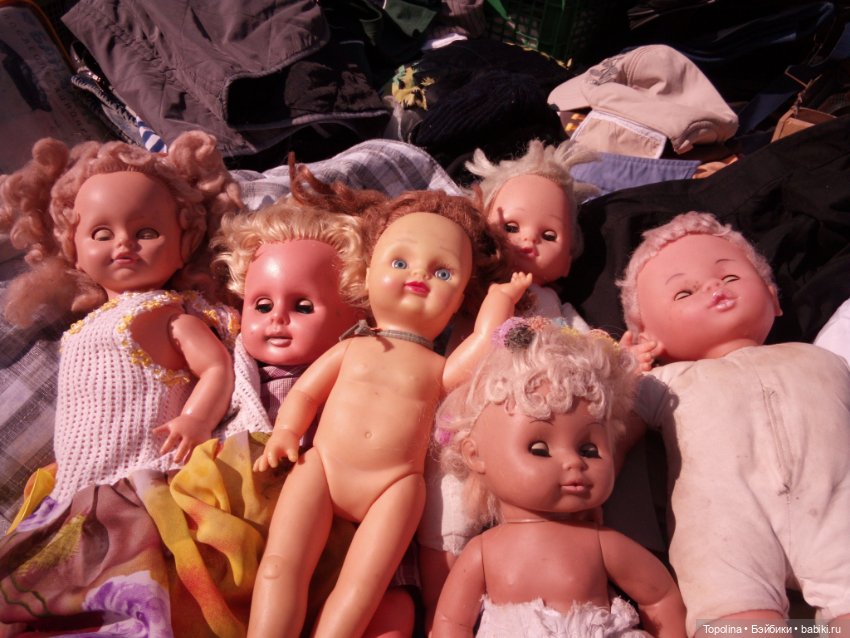 Блошка по будним дням. Обижулька дубль два