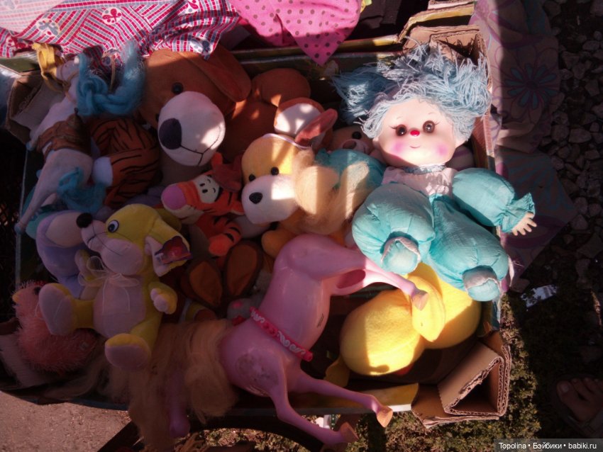 Блошка по будним дням. Обижулька дубль два (фото 4)