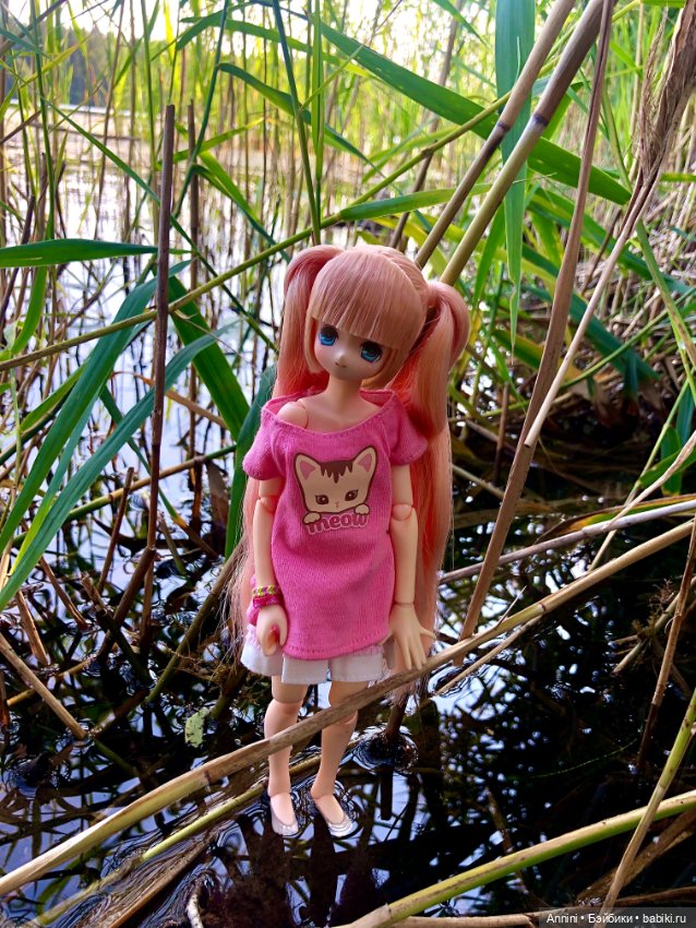 Из объятий лета навстречу осени