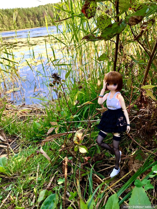 Из объятий лета навстречу осени (фото 10)