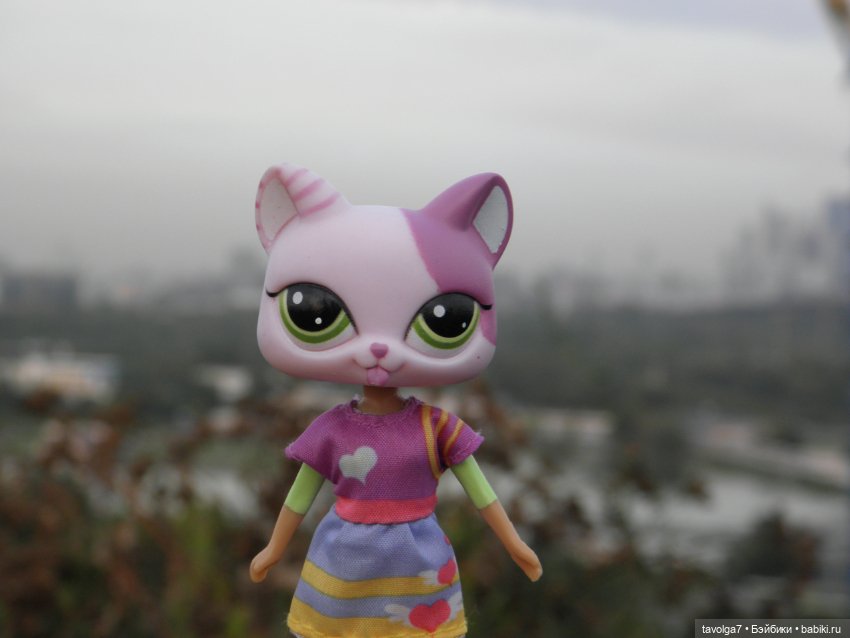 Последний летний закат — Игровые куклы разных производителей (Разное): редкие бренды