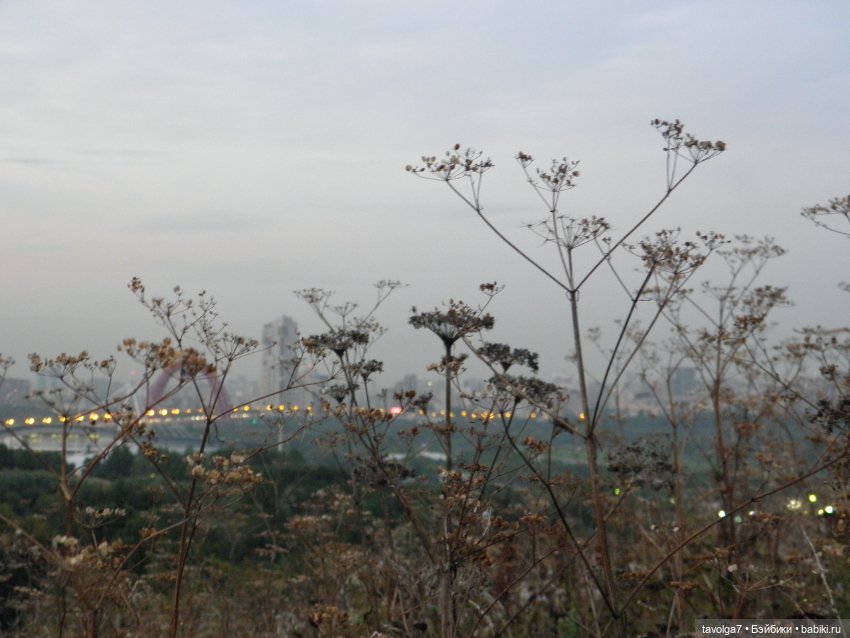 Последний летний закат — Игровые куклы разных производителей (Разное): редкие бренды