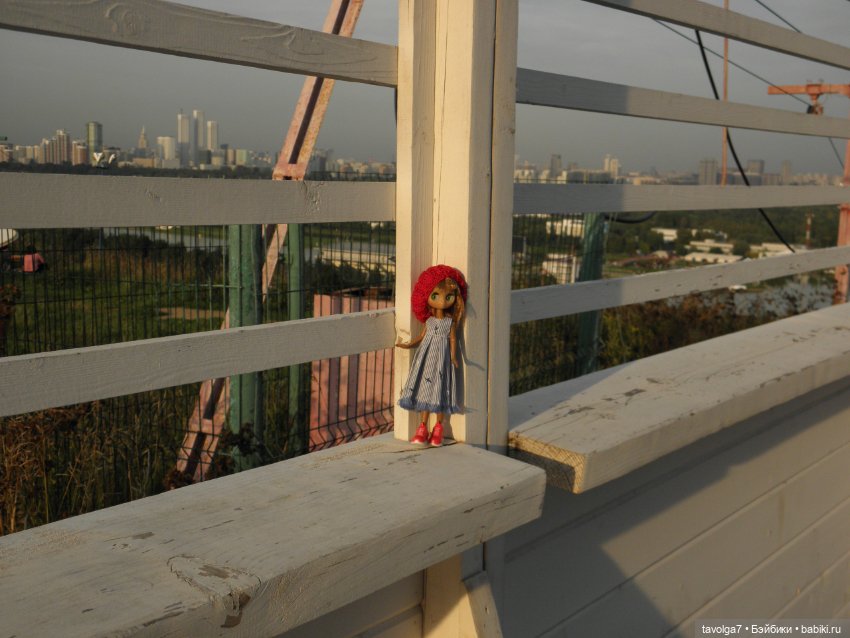 Последний летний закат — Игровые куклы разных производителей (Разное): редкие бренды (фото 9)