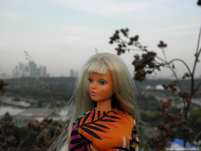 Последний летний закат — Игровые куклы разных производителей (Разное): редкие бренды