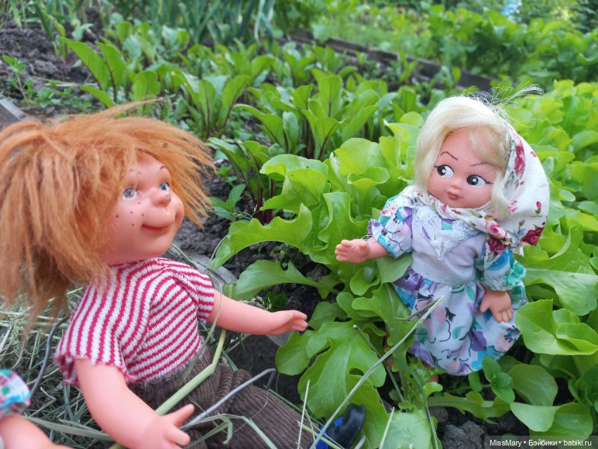 Вспоминая лето. Июнь — Болталка и разговоры обо всем: жизнь