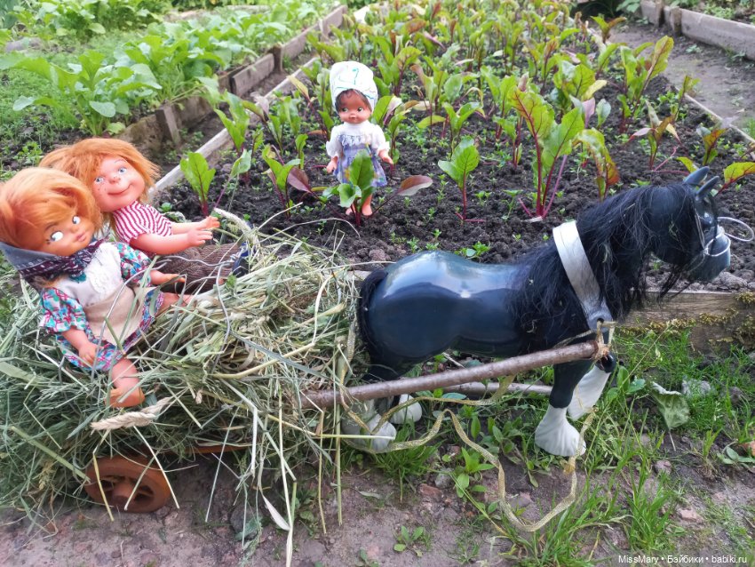 Вспоминая лето. Июнь — Болталка и разговоры обо всем: жизнь