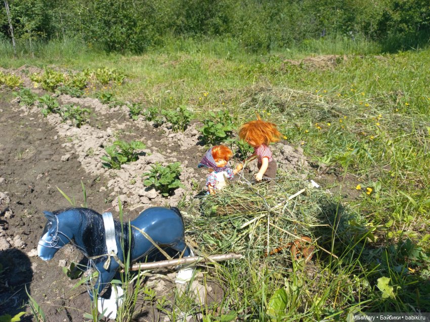 Вспоминая лето. Июнь — Болталка и разговоры обо всем: жизнь