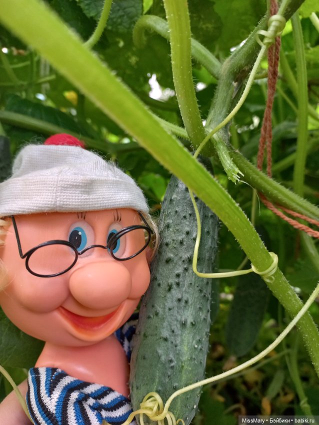 Вспоминая лето. Июль — Болталка и разговоры обо всем: жизнь