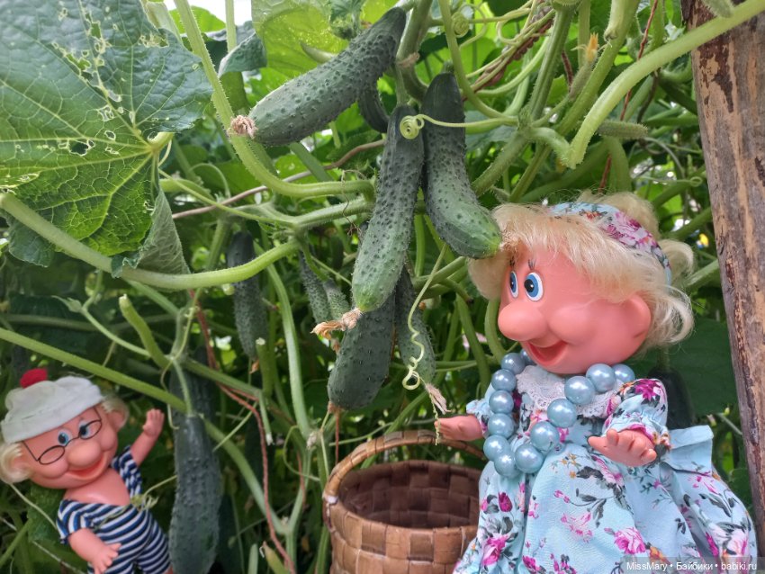 Вспоминая лето. Июль — Болталка и разговоры обо всем: жизнь