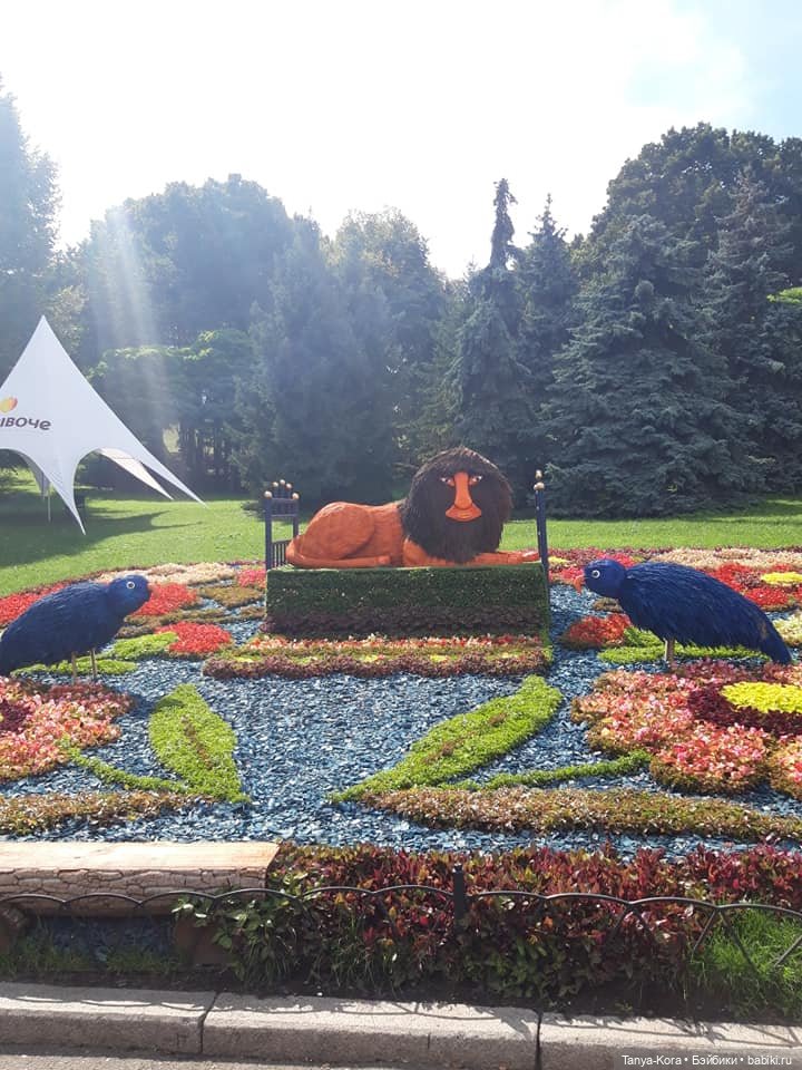 Минуш Луана на Певческом поле (фото 8)