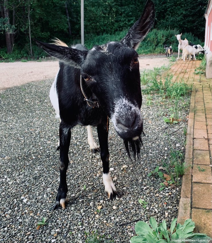 Мы с Сашами вступили в клуб любителей Саш😊