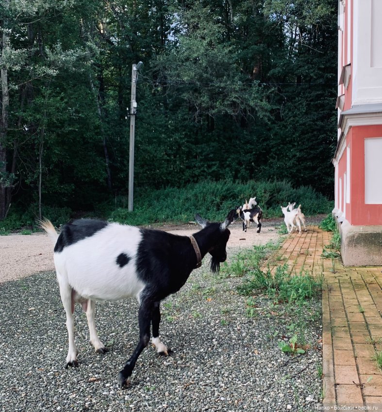 Мы с Сашами вступили в клуб любителей Саш😊