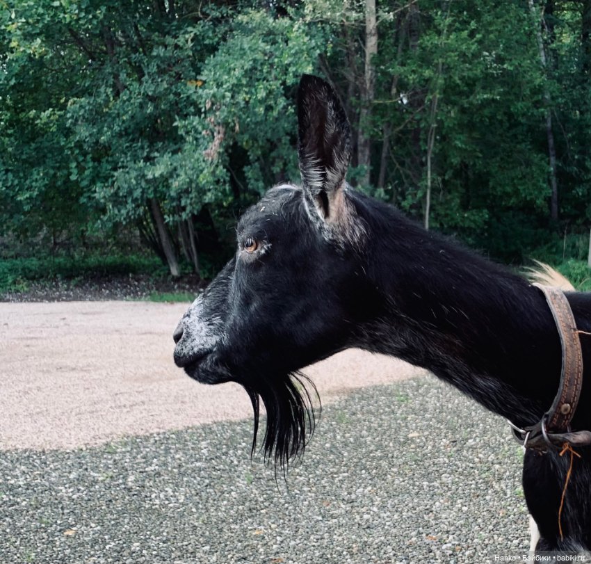 Мы с Сашами вступили в клуб любителей Саш😊