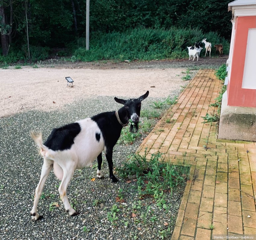 Мы с Сашами вступили в клуб любителей Саш😊