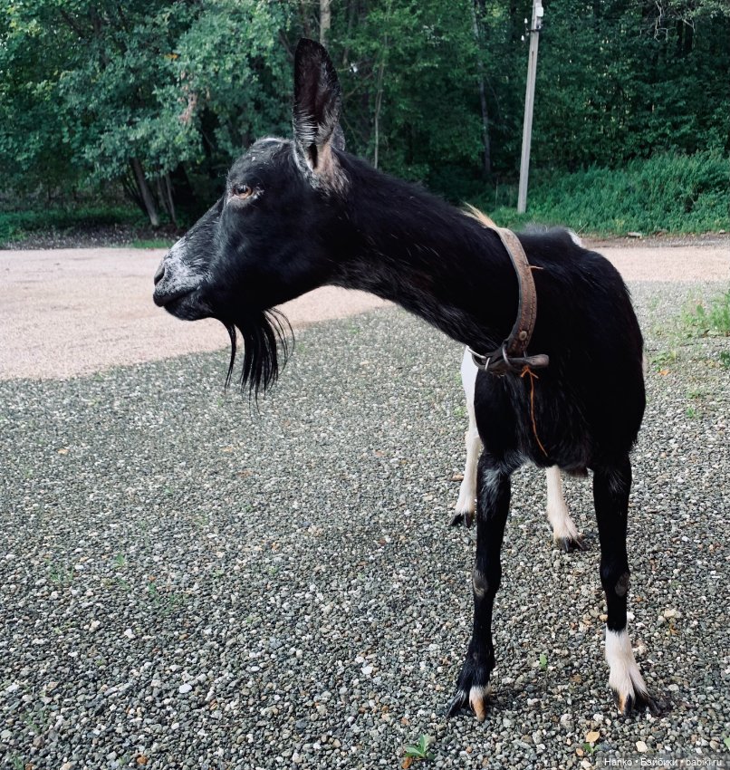 Мы с Сашами вступили в клуб любителей Саш😊