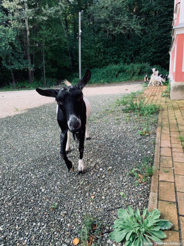 Мы с Сашами вступили в клуб любителей Саш😊