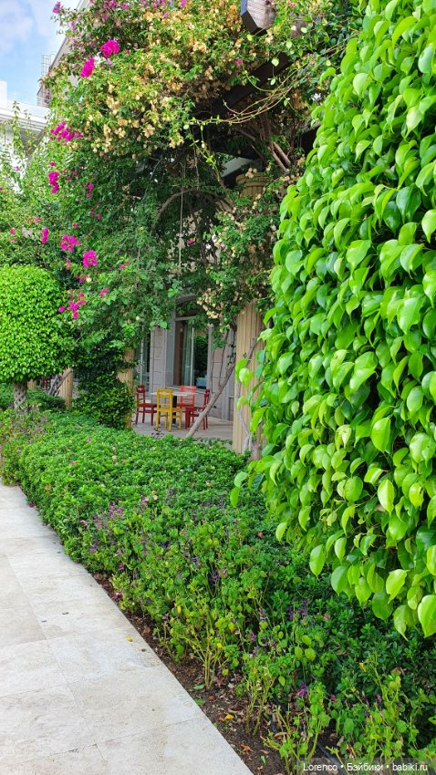 Турецкие каникулы. Часть 2 (фото 5)