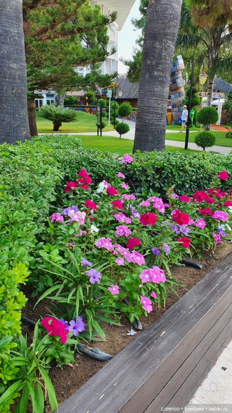 Турецкие каникулы. Часть 2 (фото 10)