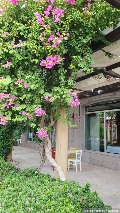 Турецкие каникулы. Часть 2 (фото 4)