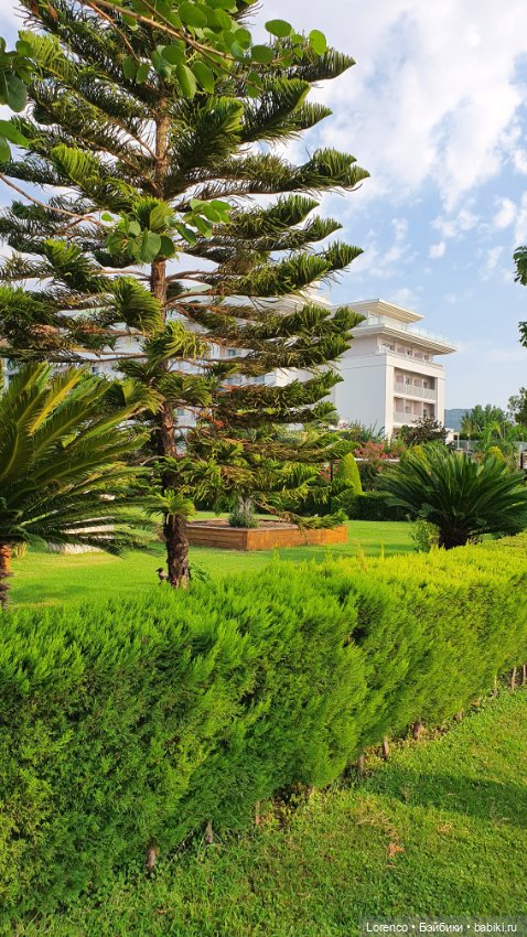 Турецкие каникулы. Часть 2 (фото 8)