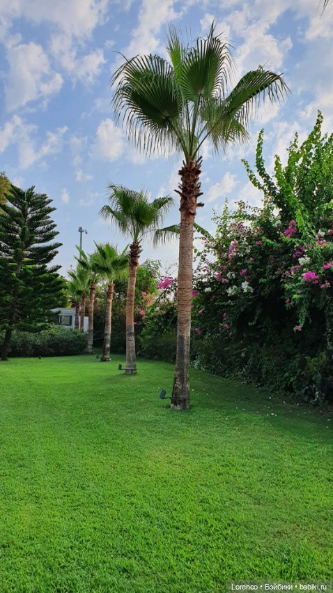 Турецкие каникулы. Часть 2 (фото 6)