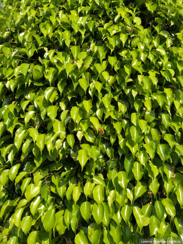 Турецкие каникулы. Часть 2