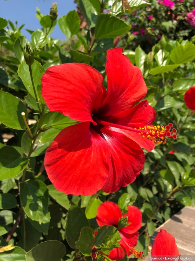 Турецкие каникулы. Часть 2