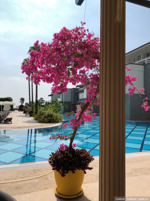 Турецкие каникулы. Часть 2