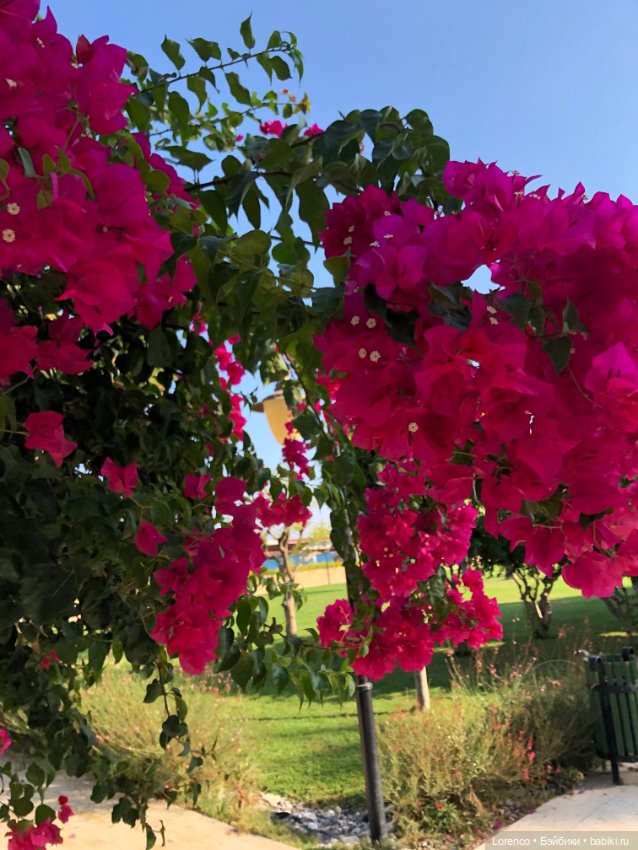 Турецкие каникулы. Часть 2