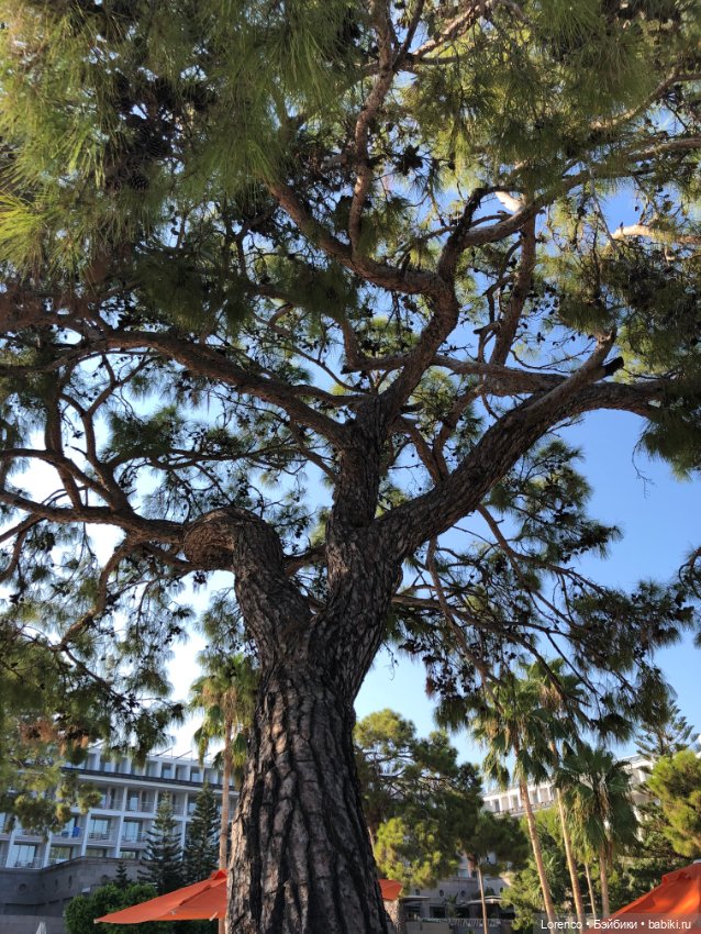 Турецкие каникулы. Часть 2