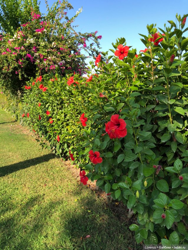 Турецкие каникулы. Часть 2