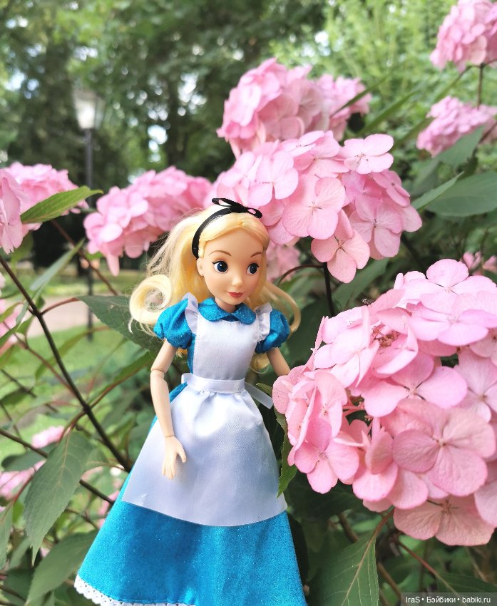 Лето 2021 — Болталка и разговоры обо всем: жизнь