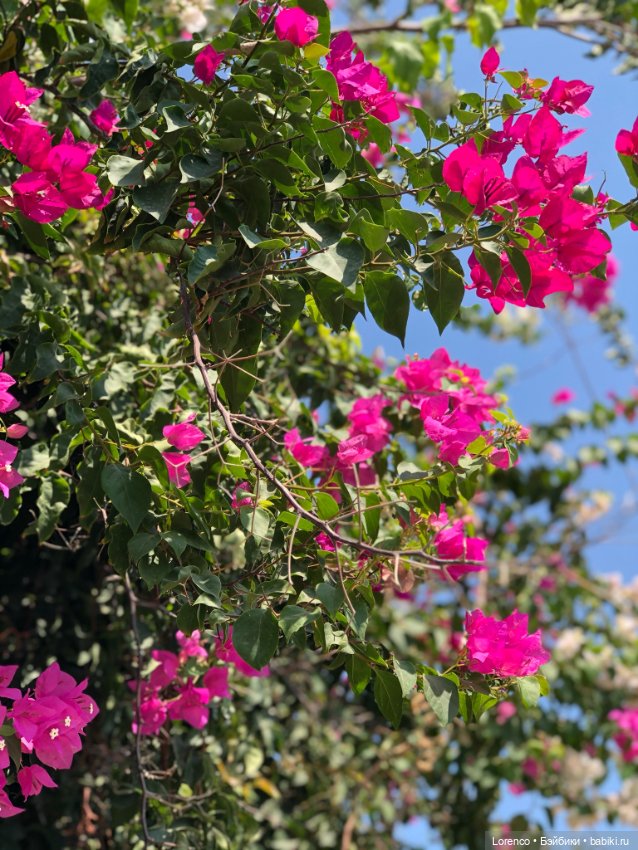 Турецкие каникулы. Часть 2