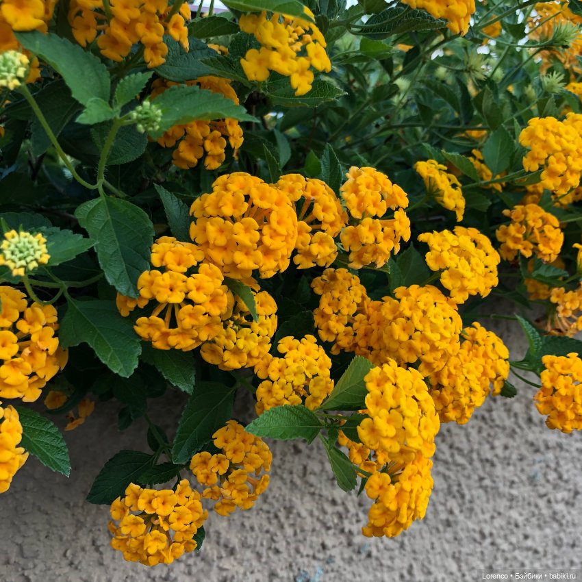 Турецкие каникулы. Часть 2