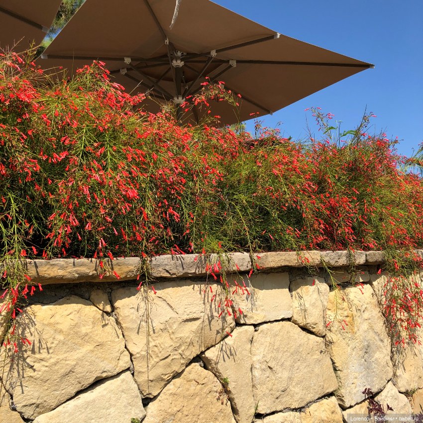 Турецкие каникулы. Часть 2