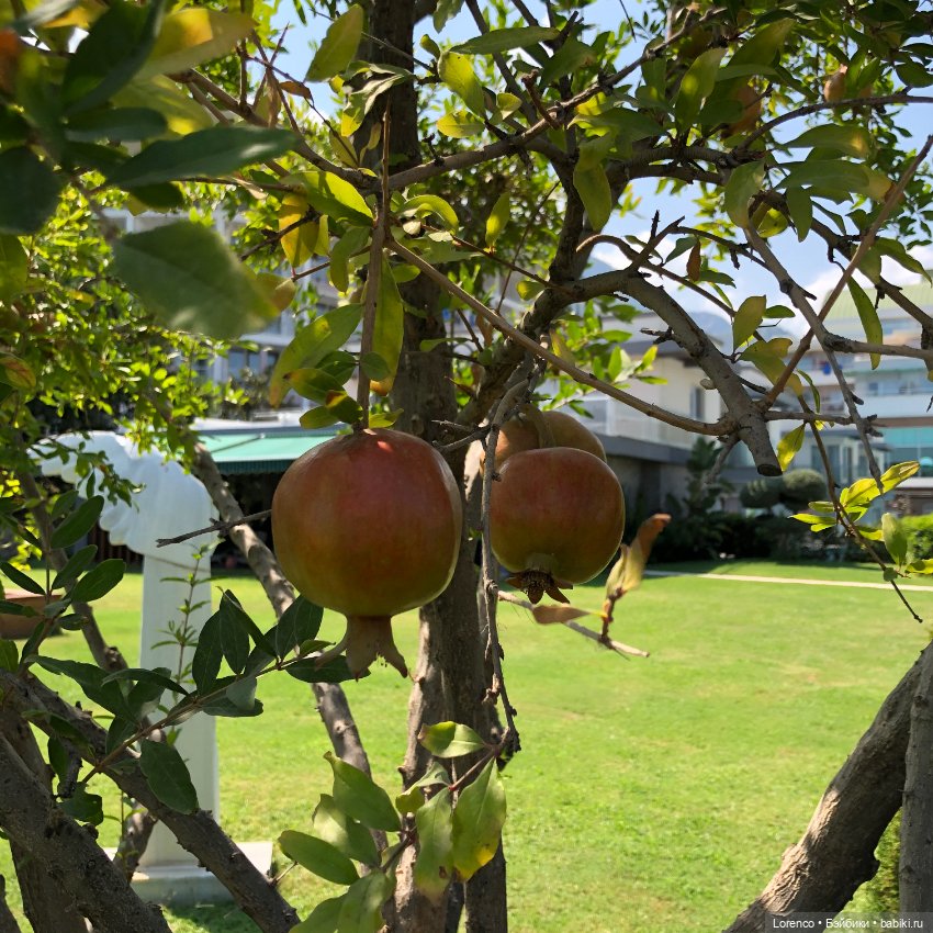 Турецкие каникулы. Часть 2