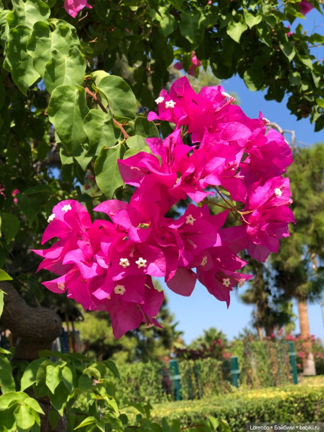 Турецкие каникулы. Часть 2