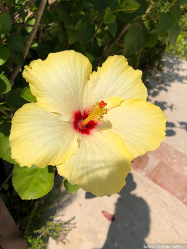 Турецкие каникулы. Часть 2