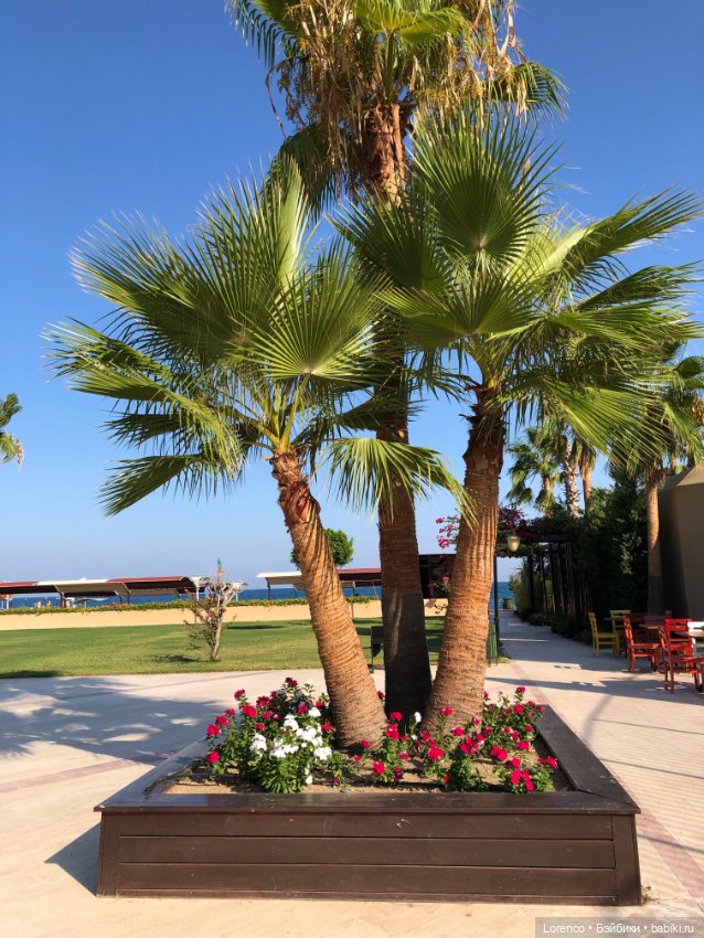 Турецкие каникулы. Часть 2