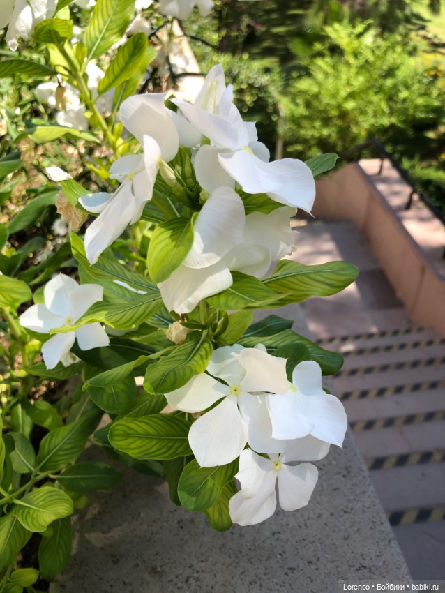 Турецкие каникулы. Часть 2