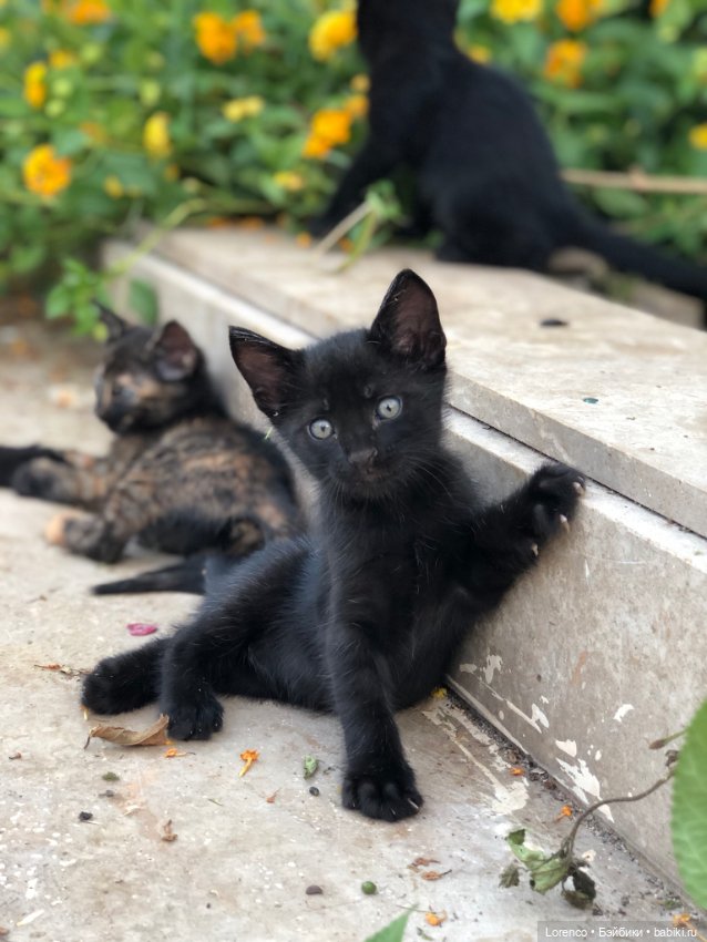 Турецкие каникулы. Часть 2