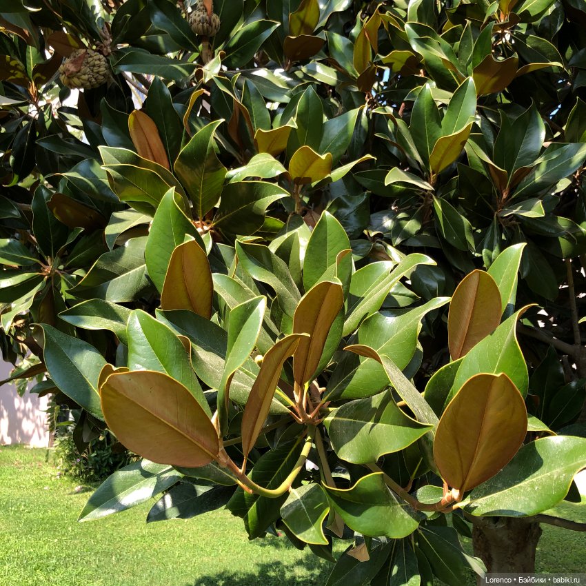 Турецкие каникулы. Часть 2