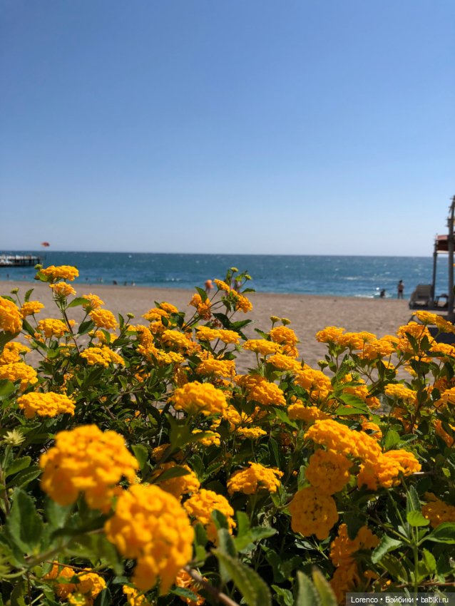 Турецкие каникулы. Часть 2