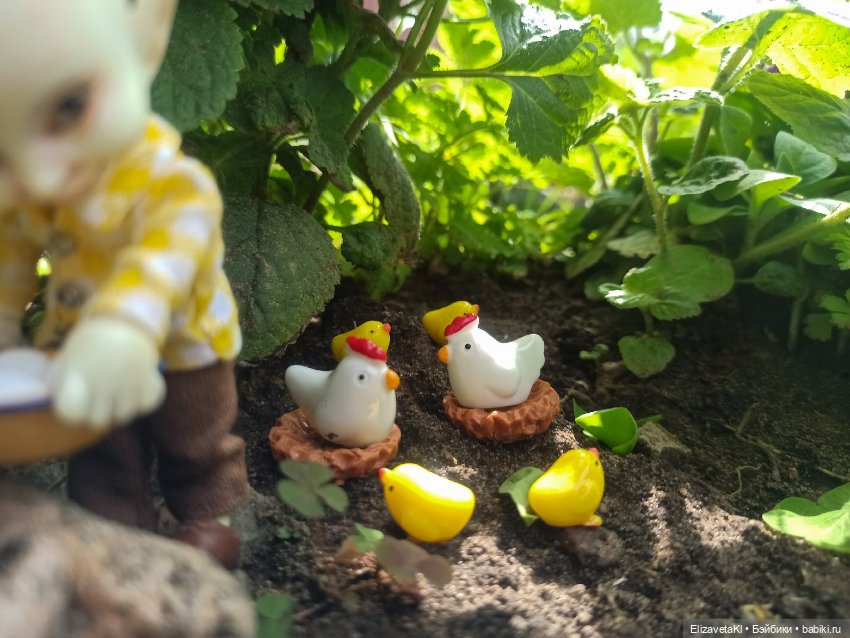 Курятник. Realpuki. 130 — Фотоистории с куклами BJD (БЖД): сериалы (фото 7)