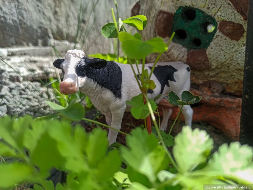 Курятник. Realpuki. 130 — Фотоистории с куклами BJD (БЖД): сериалы (фото 10)