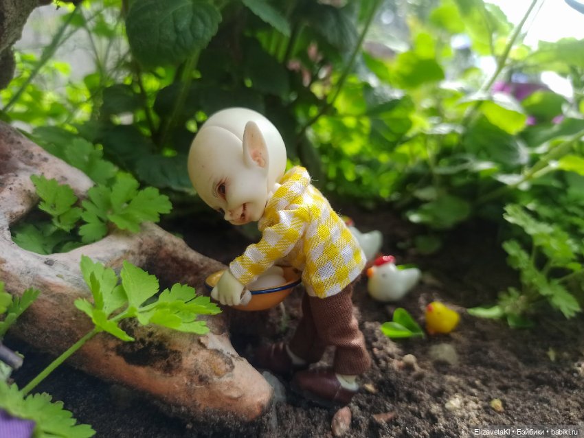 Курятник. Realpuki. 130 — Фотоистории с куклами BJD (БЖД): сериалы (фото 9)